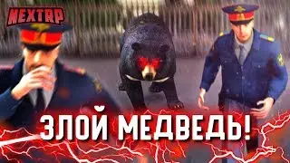 УГАР! ЗЛОЙ МЕДВЕДЬ УГОНЯЕТ МАШИНЫ И ПУГАЕТ ЛЮДЕЙ! (Next RP)