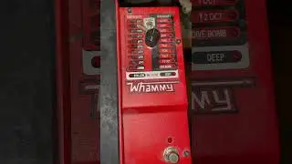 Digitech whammy pedal #guitarpedals #guitarpedalboard #electricguitar #visualkei #metal #punkrock