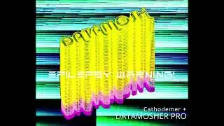 Datamosher Pro x Cathodemer [Photosensitive]