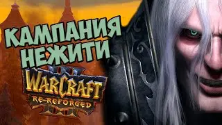 О чём рассказывает Warcraft 3 Re-Reforged | Кампания Нежити