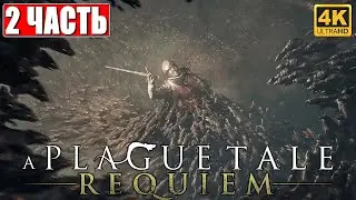 A PLAGUE TALE: REQUIEM ПРОХОЖДЕНИЕ [4K] ➤ Часть 2 ➤ На Русском ➤ Геймплей и Обзор на PS5