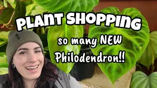 PLANT SHOPPING!! 🌿 25% Off Sale at Paul's & Sandy's!! ☺️ so many NEW Philodendron 🩷