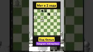 Telegram: Albinachess #chess #chorts #шахматы