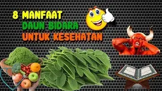 8 MANFAAT DAUN BIDARA YANG DAHSYAT UNTUK KESEHATAN 👍🙏