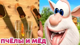 Буба - Пчёлы и мёд - Мультфильм для детей