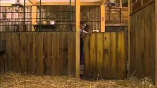 Grand Galop S2 EP25 - Un choix respectable - Partie 2
