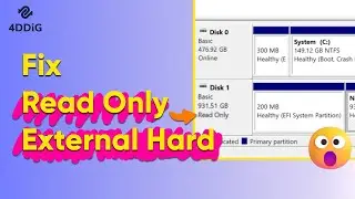 External Hard Disk Read Only Fix: A Step-by-Step Guide (6 Ways)