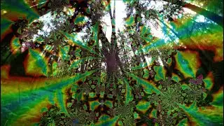 Progressive Psytrance mix August 2022