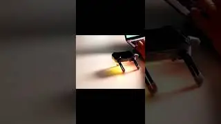 🤖Робот🐢Черепашка👾КТ2