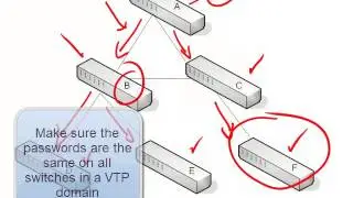 3. VLAN Trunking Protocol VTP