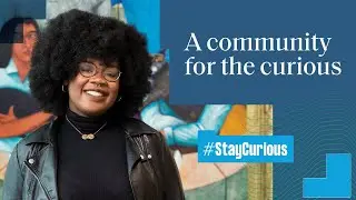 Stay Curious - Mamobo Ogoro