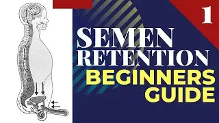 Semen Retention Beginner's Guide