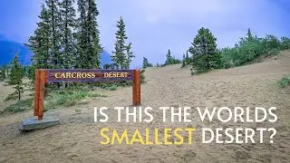 Is this the worlds smallest desert? - Carcross, Yukon