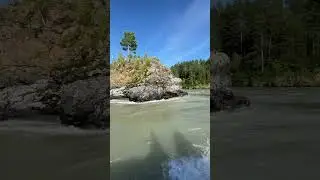 Таинственные острова на реке Катунь | Beautiful views #природа #приключения #you