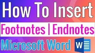 How to Insert Footnotes and Endnotes in Microsoft Word