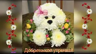 Пусть всегда будет причина для радости! Хорошего настроения!