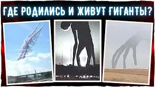 Где живут гиганты Тревора Хендерсона и других авторов?