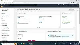 Billing &cost management in AWS - How to setup  budget and support case in AWS?