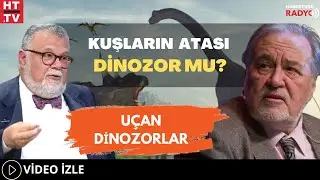 Kuşların Atası Dinozor Mu, Uçan Dinozorlar..