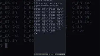 06 Linux Shell Touching More Files With Brace Expansions