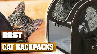 Best Cat Backpack In 2025 - Top 10 Cat Backpacks Review