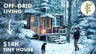 Self-Sufficient Man Built an Off-Grid Tiny House Homestead & Lives on a Minimal Budget