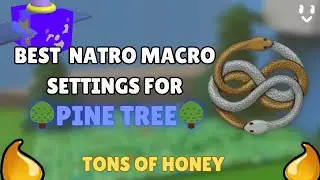 The BEST Natro Macro Settings for Pine Tree Field! (Lots of honey)