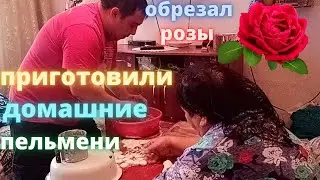 ОБРЕЗАЛ РОЗЫ / ПРИГОТОВИЛИ С БАБУШКОЙ ПЕЛЬМЕНИ / ЖИЗНЬ МИХЕЯ / VLOG...