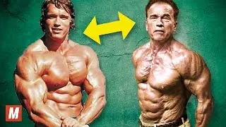 Arnold Schwarzenegger | From 17 To 70 Years Old