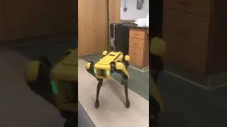 Boston Dynamics Spot: Open Box Test