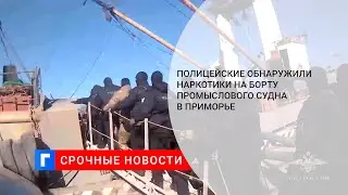 Полицейские обнаружили наркотики на борту промыслового судна в Приморье