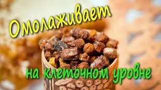 Природное ВОЛШЕБНОЕ ВЕЩЕСТВО дарит МОЛОДОСТЬ и ЗДОРОВЬЕ