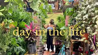 Mexico City Vlog (exploring the city, yogurt is $15??, buying plants & mirrors) | day in the life