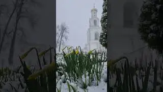 Апрельский снег, самый снежный снег!