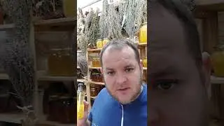 кедровая живица на кедровом масле от миомы