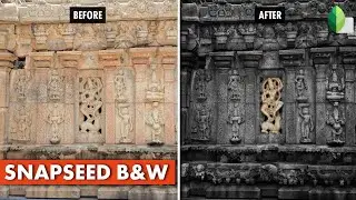 Black and White Editing Techniques in Snapseed | Android | iPhone