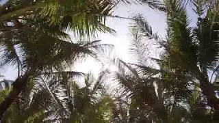 Bai Chay beach, Halong bay, Vietnam [ MV ]