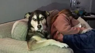 When you got a Amusing Dog😂