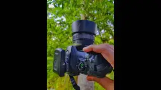 The Best DSLR for Beginner Photographers | Nikon D5500 Photography | 