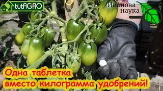 ГДЕ ВЗЯТЬ БЕСПЛАТНЫЙ КАЛЬЦИЙ ДЛЯ РАСТЕНИЙ. Рейтинг источников кальция: от бесполезного до лучшего!