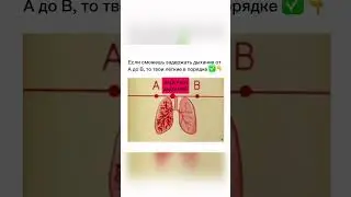 Проверь Свои Лёгкие 😮‍💨🫁