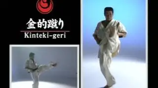 Kinteki geri - Кин гэри