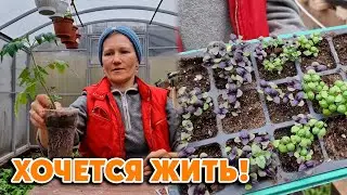 Я КАЙФУЮ😍 Мир! Труд! Май! 1 мая 2024
