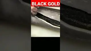 Black gold beluga caviar|| #7000$per kg|| #🤯😱🤐||  #shorts