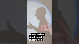 How to make a simple hand shadow wolf 