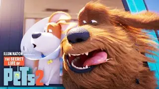 The Secret Life of Pets 2 | Max and Duke Go on a Road Trip!