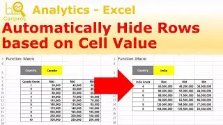 How to Automatically Hide Rows based on Cell Value - Macro for Beginner