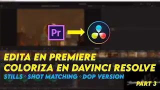 Basic Shot Matching in Davinci Resolve - Premiere to Resolve part 3