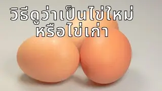 วิธีดูว่าเป็นไข่ใหม่หรือไข่เก่า