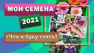 Семена цветов 2021. Что я буду сеять.